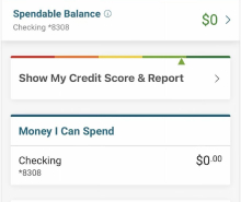 Mobile screenshot of credit balance