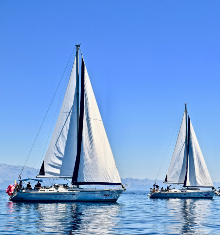 Sailboats out on the water