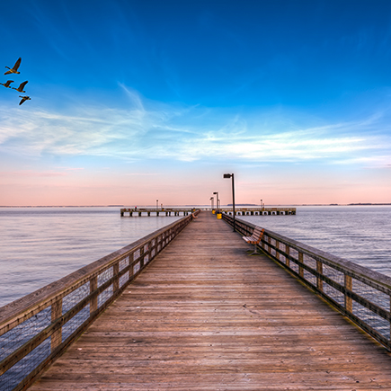 Boardwalk reaching out into the ocean with geese flying overhead
